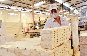 Xuất khẩu gỗ và sản phẩm gỗ đạt 9,7 tỷ USD
