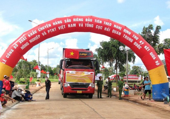Sầu riêng Việt Nam lần đầu xuất khẩu chính ngạch sang Trung Quốc