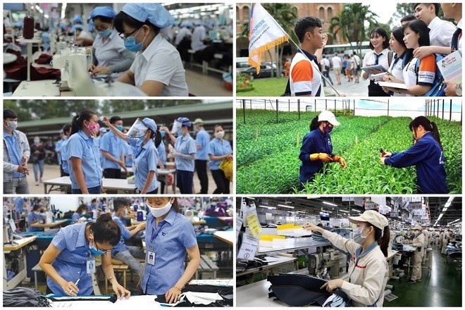 WB: Kinh tế Việt Nam phục hồi mạnh mẽ nhưng cần linh hoạt về chính sách