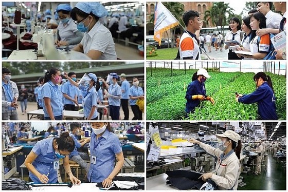 WB: Kinh tế Việt Nam phục hồi mạnh mẽ nhưng cần linh hoạt về chính sách