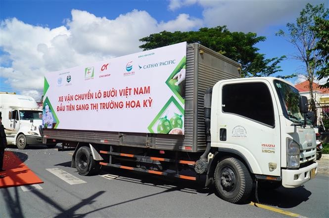 Lô bưởi đầu tiên của Việt Nam chính thức lên đường xuất khẩu sang Hoa Kỳ