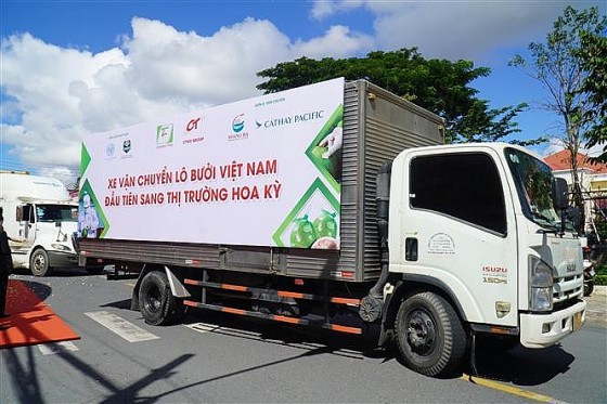Lô bưởi đầu tiên của Việt Nam chính thức lên đường xuất khẩu sang Hoa Kỳ