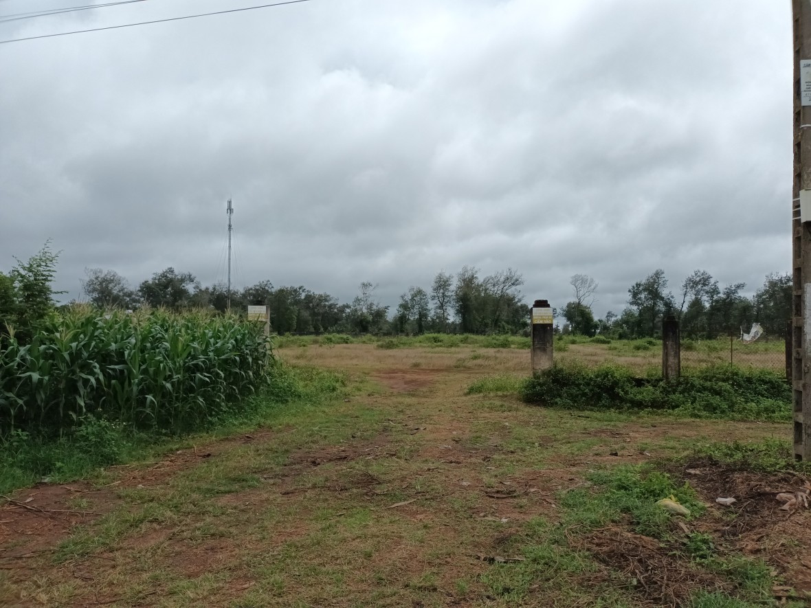 Bài 2: “Xé rào” quy định về giao khoán đất nông trường tại Đắk Lắk