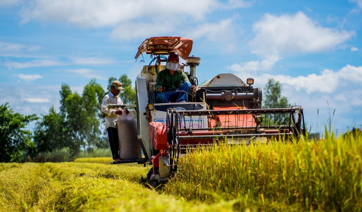 Từ chỗ thường xuyên thiếu đói, long đong chạy ăn, Việt Nam trở thành nước xuất khẩu gạo hàng đầu thế giới.