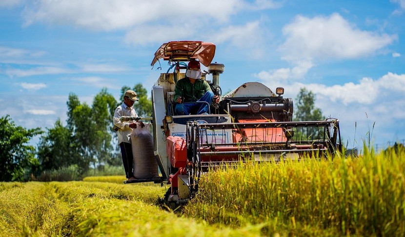 Từ chỗ thường xuyên thiếu đói, long đong chạy ăn, Việt Nam trở thành nước xuất khẩu gạo hàng đầu thế giới.