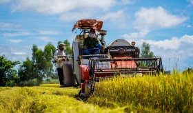 Việt Nam lan tỏa nền nông nghiệp xanh, tạo dư địa giảm phát thải