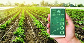 Xây dựng hệ thống thông tin chuyên ngành hỗ trợ lĩnh vực nông nghiệp