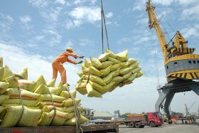 Xuất khẩu gạo năm 2023 có thể đạt 8 triệu tấn, cao nhất từ trước đến nay