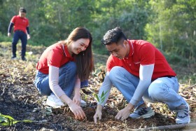 SeABank tiếp tục phủ xanh 3 ha rừng phòng hộ tại Thanh Hóa, hướng tới phát triển bền vững
