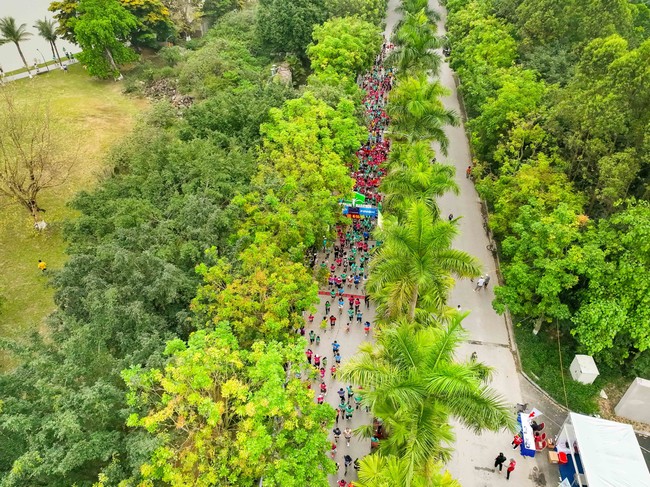 Thiên nhiên xanh hút mắt ở giải chạy Ecopark Marathon 2023  ảnh 1