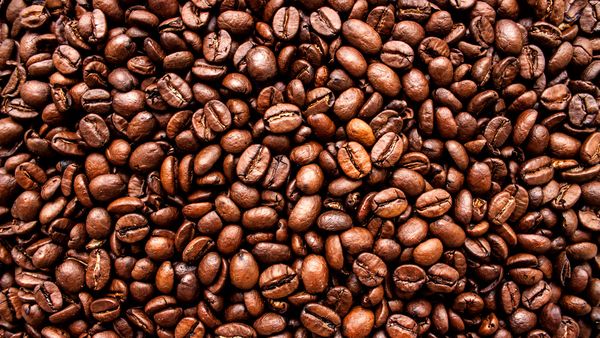 Cà phê vẫn là mặt hàng xuất khẩu số 1 của Việt Nam vào Algeria trong năm 2018