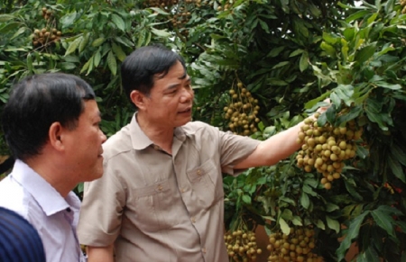 Nông nghiệp Việt nam quyết tâm đổi mới mô hình tăng trưởng và xây dựng nông thôn mới
