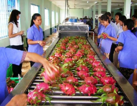 Rau quả Việt Nam ngày càng được ưa chuộng tại thị trường Nhật Bản