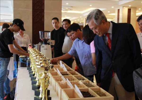 Công nhận 25 mẫu cà phê đạt tiêu chuẩn cà phê đặc sản Việt Nam
