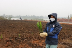 Công ty cổ phần Gốm Đất Việt hưởng ứng Chương trình trồng mới 1 tỷ cây xanh