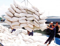 Xuất khẩu gạo tăng cả về sản lượng và giá trị