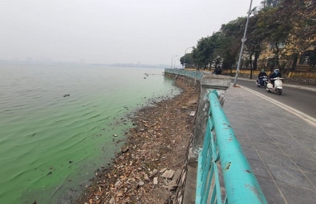 Bộ TN&MT đề nghị Hà Nội thực hiện ngay biện pháp cải thiện môi trường nước hồ Tây