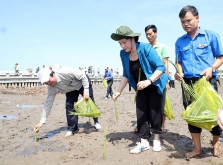 Chủ tịch Quốc hội dự Lễ trồng cây tại điểm cực Nam Tổ quốc