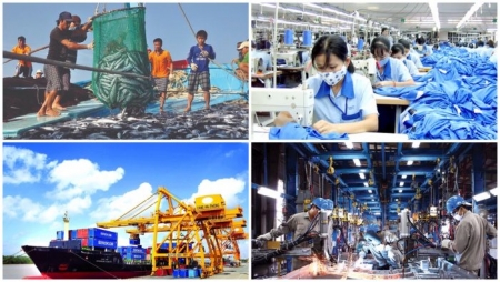 Doanh nghiệp Việt đi thế nào trên “tuyến cao tốc” VN-EU?