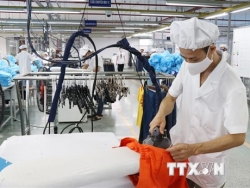 Giới chuyên gia đánh giá triển vọng khôi phục tăng trưởng kinh tế của Việt Nam