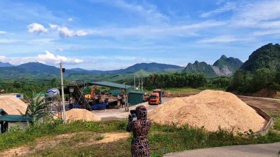 Tuân thủ pháp luật trong kinh doanh: Góc nhìn từ Nhà máy gỗ dăm hoạt động không phép ở Quảng Trị
