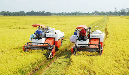 Xuất khẩu gạo đạt gần 3 tỷ USD