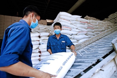 Nghiên cứu việc Ấn Độ cấm xuất khẩu gạo để có giải pháp phù hợp