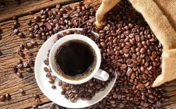Giá cà phê hôm nay 24/11:  
 Giảm 100-200 đồng/kg, thị trường thế giới diễn biến trái chiều