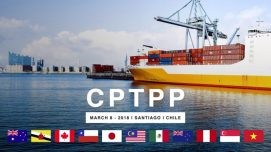 Hiệp định Đối tác toàn diện, tiến bộ xuyên Thái Bình Dương (CPTPP): Cơ hội nào cho doanh nghiệp Việt Nam?