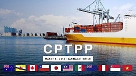 Hiệp định Đối tác toàn diện, tiến bộ xuyên Thái Bình Dương (CPTPP): Cơ hội nào cho doanh nghiệp Việt Nam?